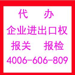 專業(yè)代理各類進(jìn)出口業(yè)務(wù)，助力企業(yè)高效拓展國際市場