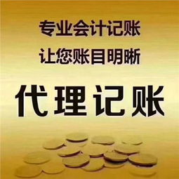 萬州區(qū)正規(guī)代理記賬 質(zhì)量放心可靠的專業(yè)平臺軟件開發(fā)服務(wù)