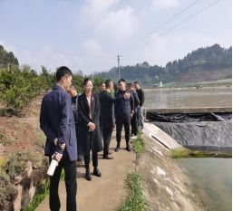 守護(hù)一泓清流 簡(jiǎn)陽(yáng)金堂攜手推進(jìn)水產(chǎn)養(yǎng)殖尾水治理，共護(hù)陽(yáng)化河流域生態(tài)