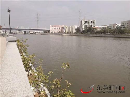 東莞扎實(shí)推進(jìn)各項(xiàng)治水工作 水污染治理卓有成效