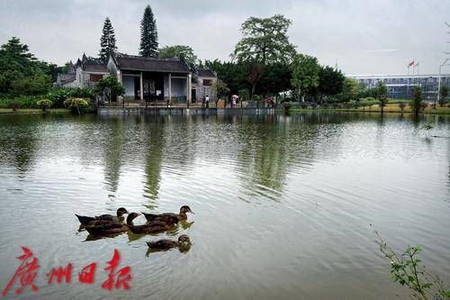 污水入廠 清水入河 廣州奮力書寫水污染防治攻堅(jiān)戰(zhàn)新篇章