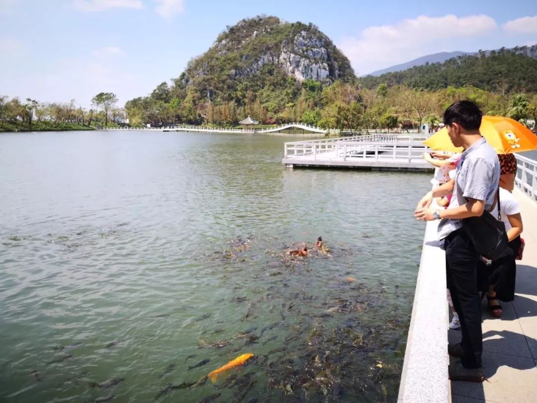 七星巖里湖水污染治理成效顯著 碧湖如鏡，映照綠色發(fā)展之路