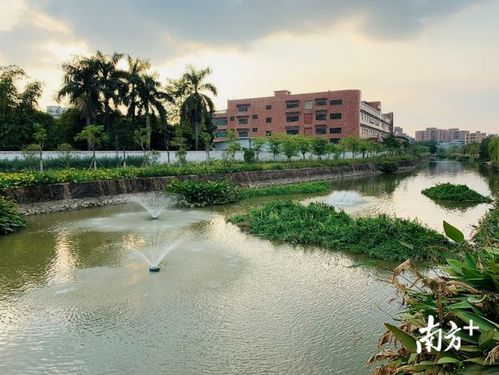 營(yíng)造水清岸綠 石排水污染治理與人居環(huán)境改善的環(huán)保技術(shù)開發(fā)服務(wù)實(shí)踐